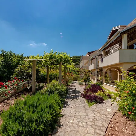 Madonna Field Ii * دوبروفينك