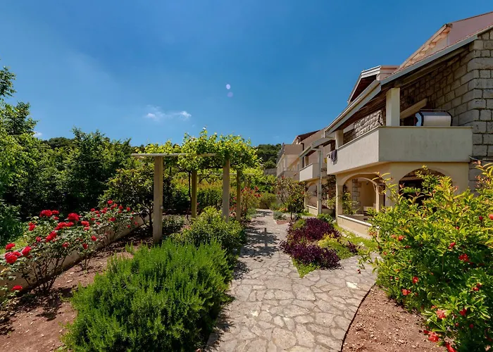 Madonna Field Ii * 杜布罗夫尼克